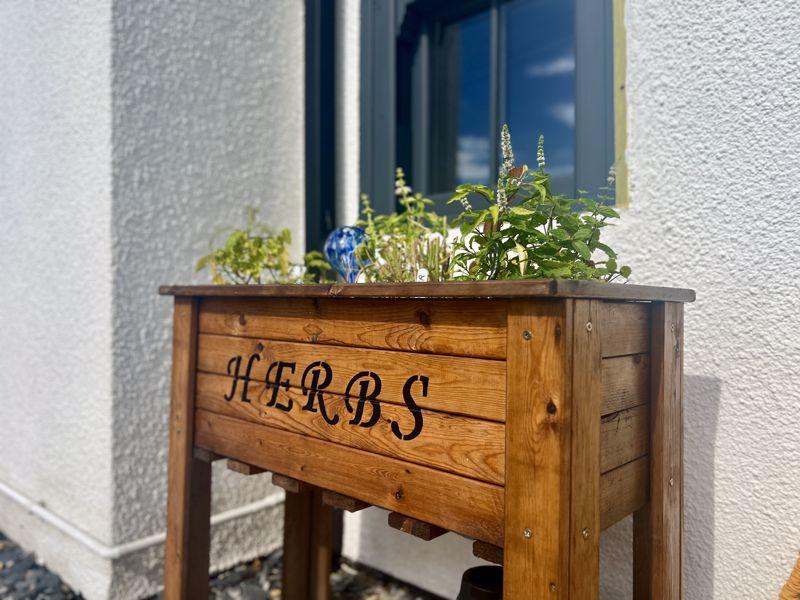 Herbs