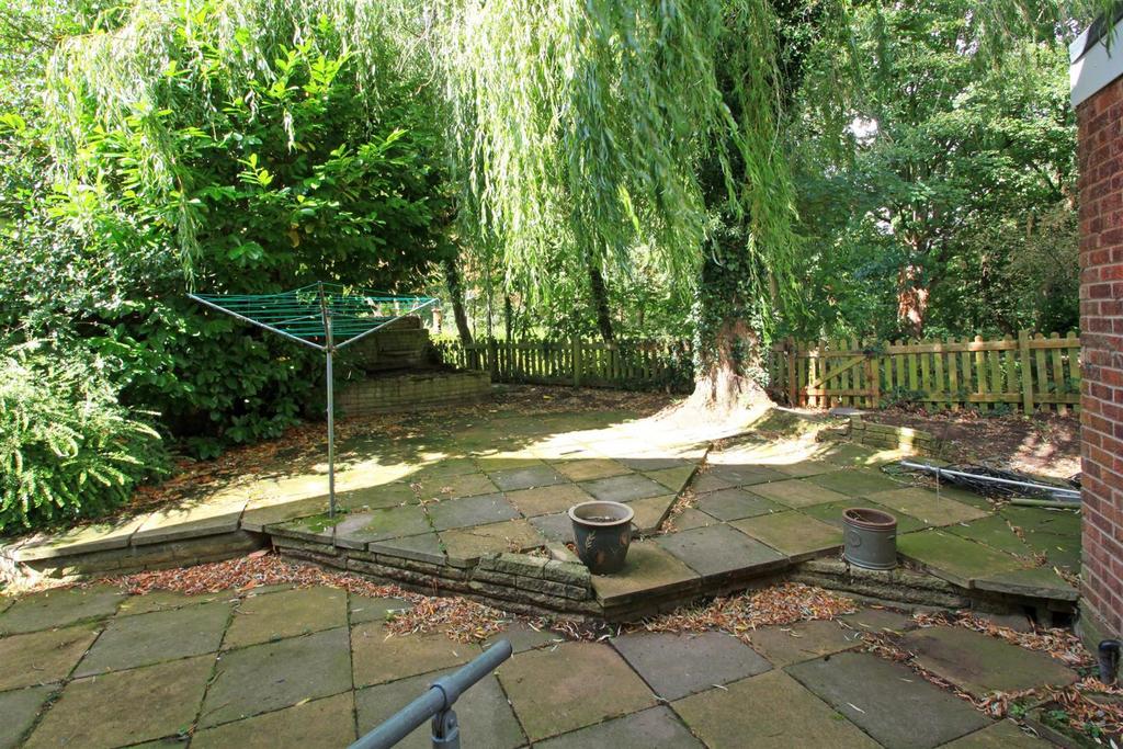 Img 9624.jpg