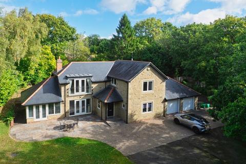 undefined, Low Grange, High Horse Close Wood, Rowlands Gill