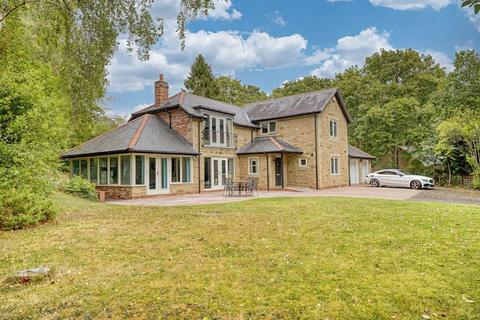 undefined, Low Grange, High Horse Close Wood, Rowlands Gill