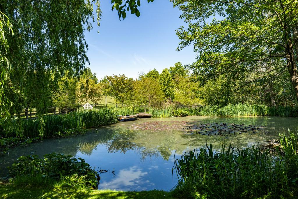 Pond