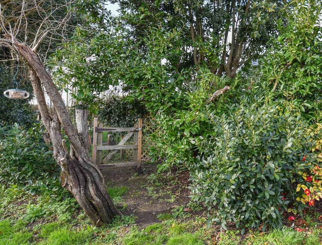 Grounds