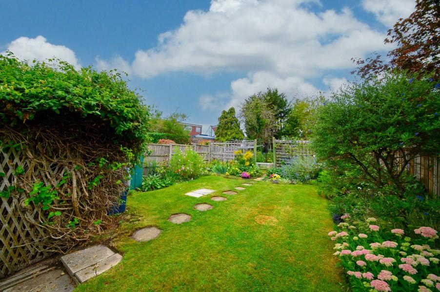 Garden view, garden