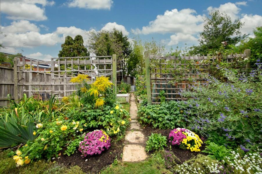 Garden view, garden