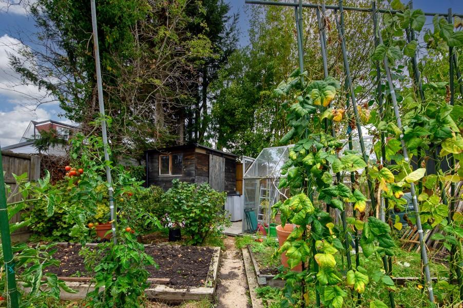 Garden view, garden