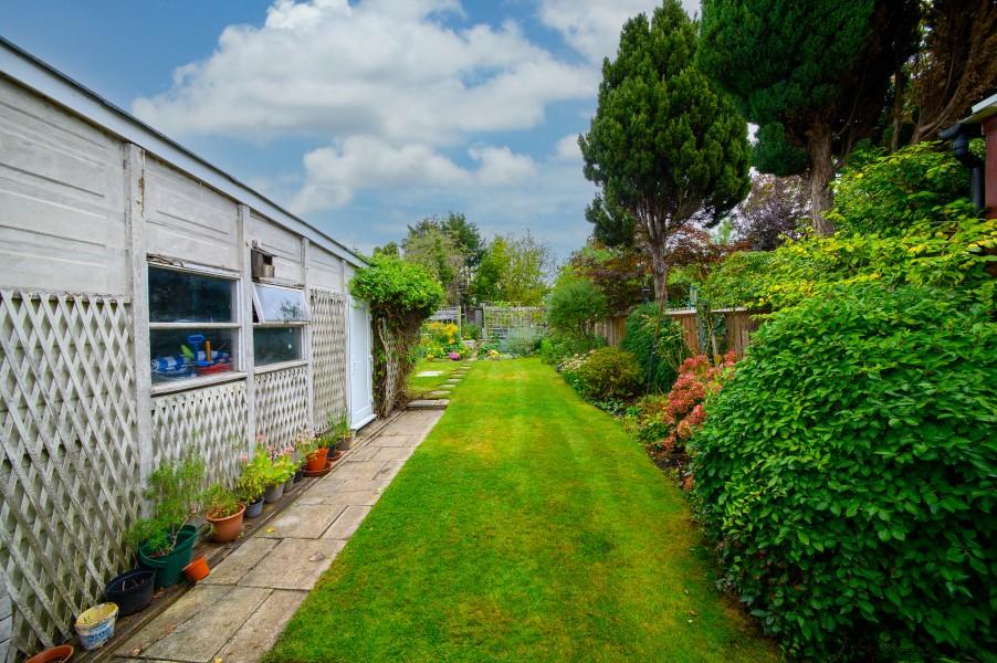 Garden view, garden