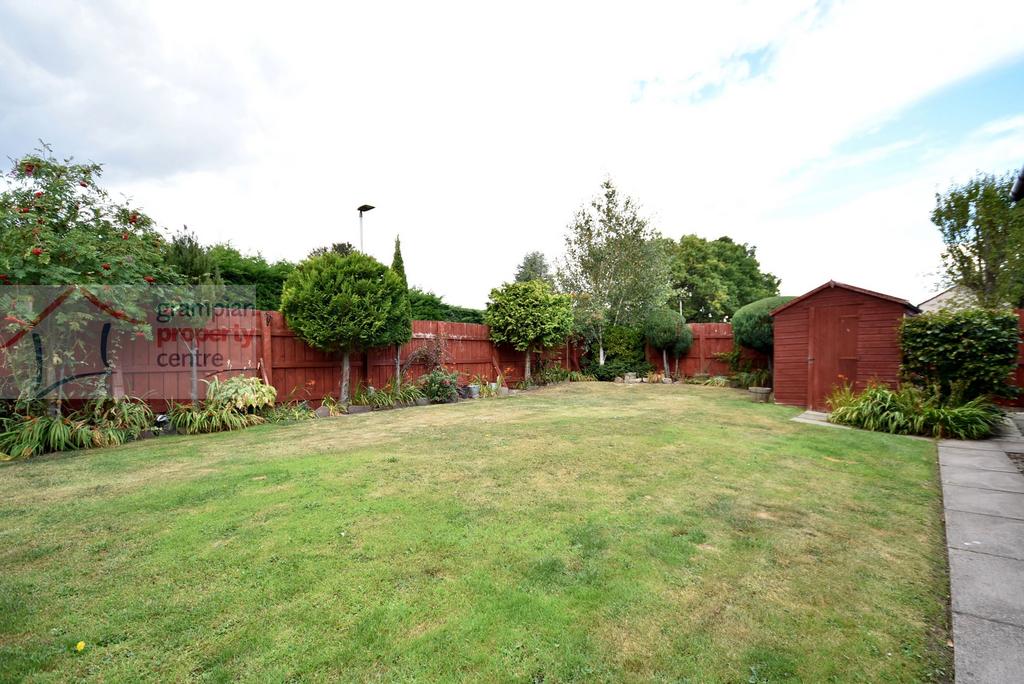 Garden 4 .JPG