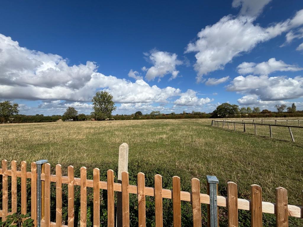 Rear Aspect