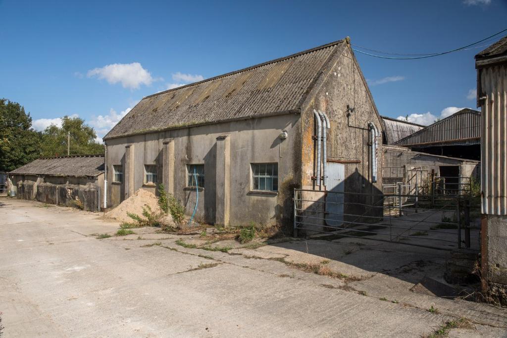 Lot 7