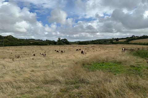 undefined, Lot 5: Cruxton Manor Farm, Cruxton, Dorchester, Dorset, DT2
