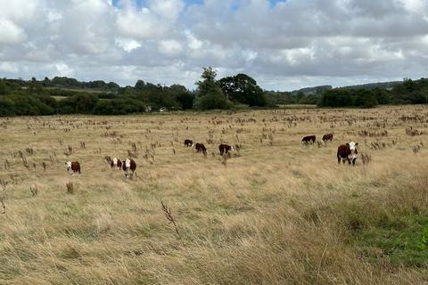 undefined, Lot 5: Cruxton Manor Farm, Cruxton, Dorchester, Dorset, DT2