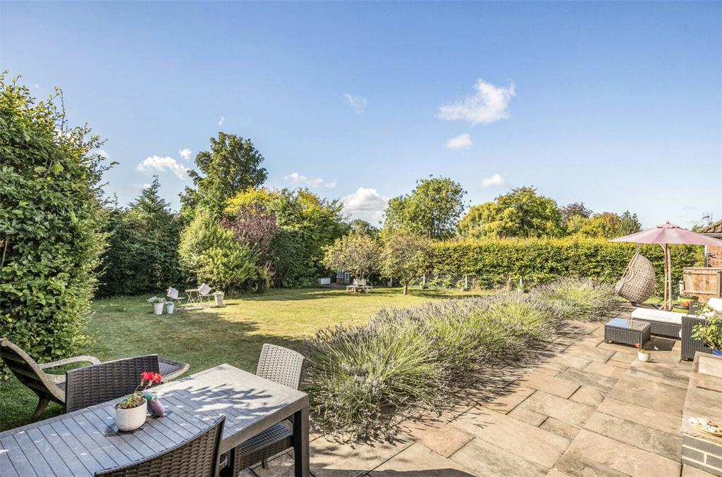Terrace and Garden