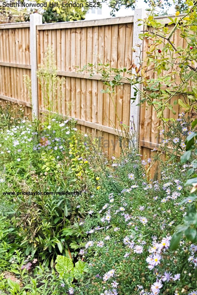 76 South Norwood Hill SE25 6 AQ Price Taylor LLP...
