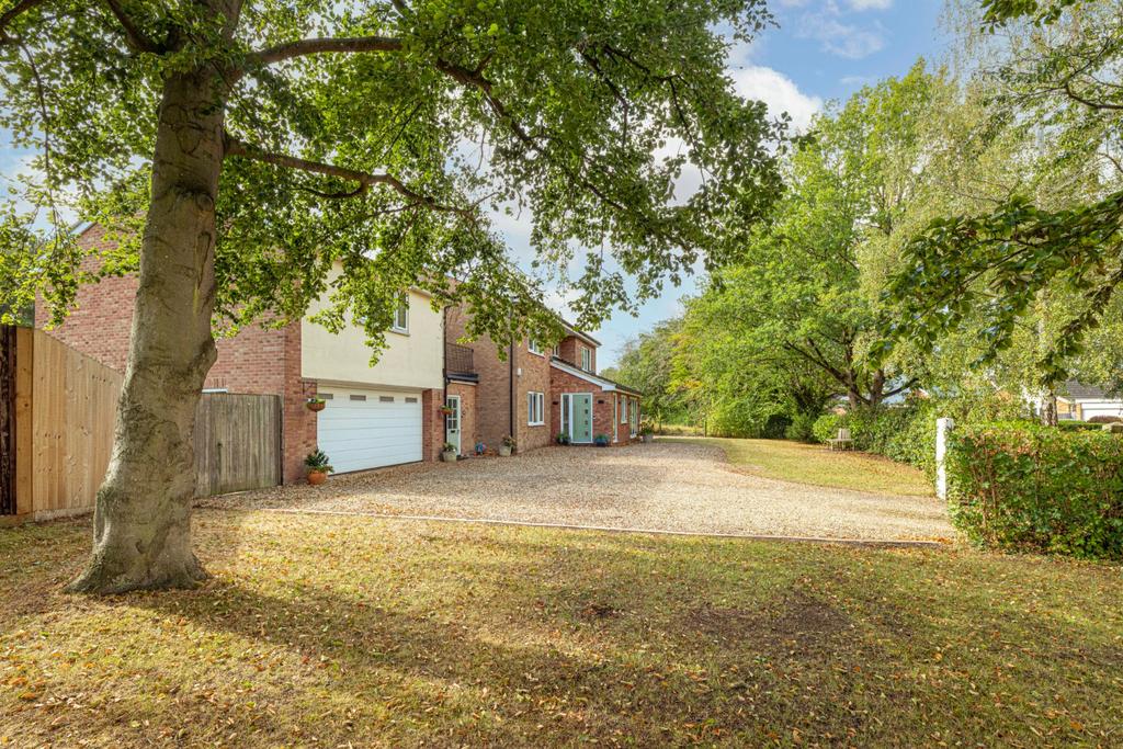 Driveway
