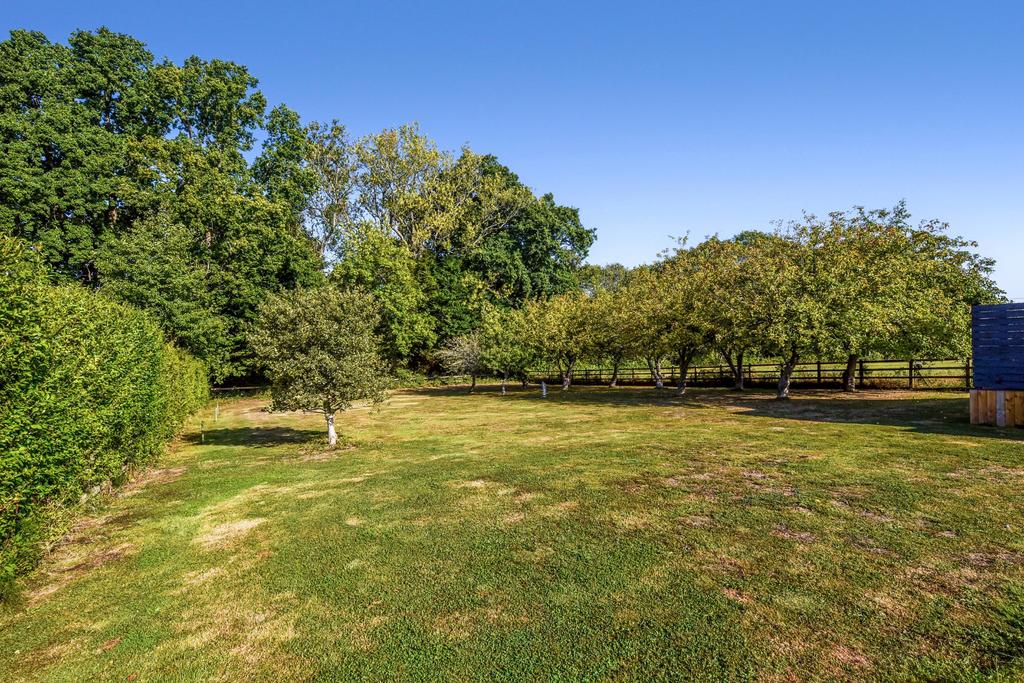 Orchard