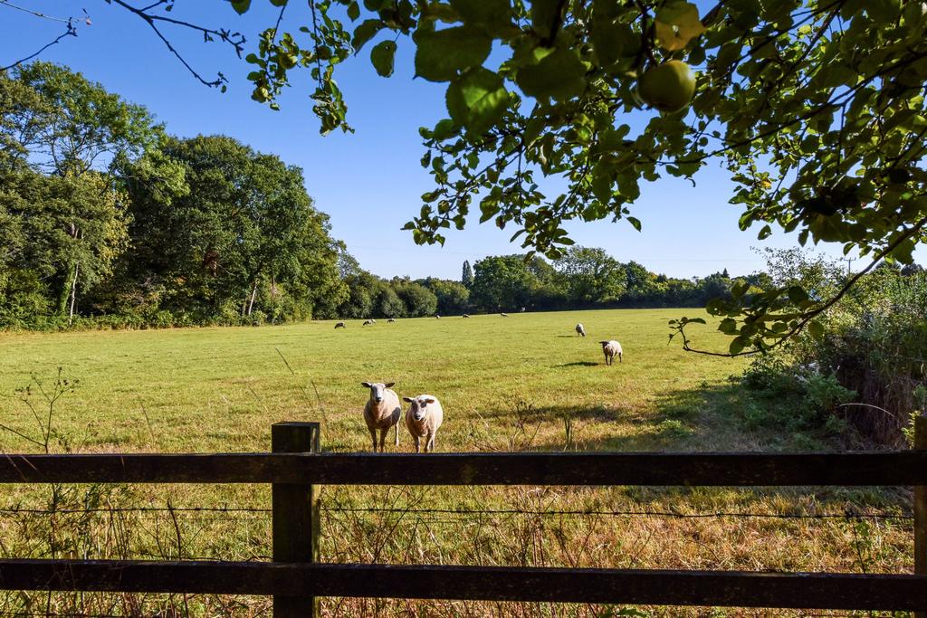 Paddocks