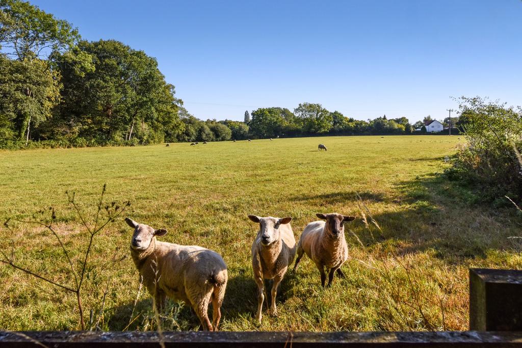 Paddocks
