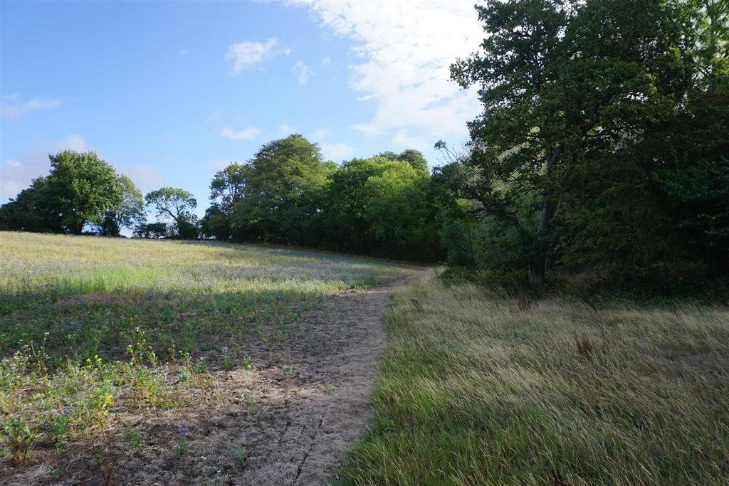 Dsc01332.jpg