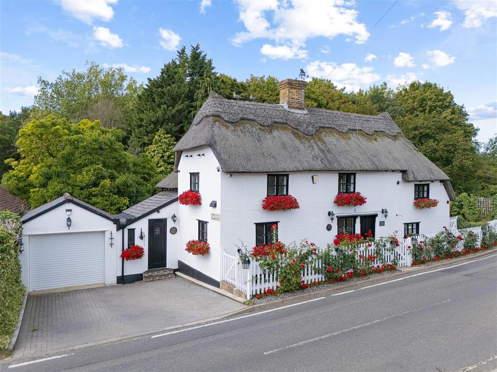 DJI 20250906120207 0033 D copy.jpg