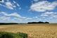 Additional image 17 of Hatfield Heath Road, Sawbridgeworth, CM21