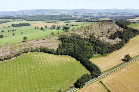 undefined, Greatbarrock Wood, Armathwaite, Carlisle, Cumbria, CA4