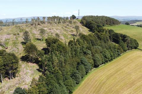 undefined, Greatbarrock Wood, Armathwaite, Carlisle, Cumbria, CA4
