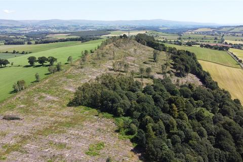 undefined, Greatbarrock Wood, Armathwaite, Carlisle, Cumbria, CA4