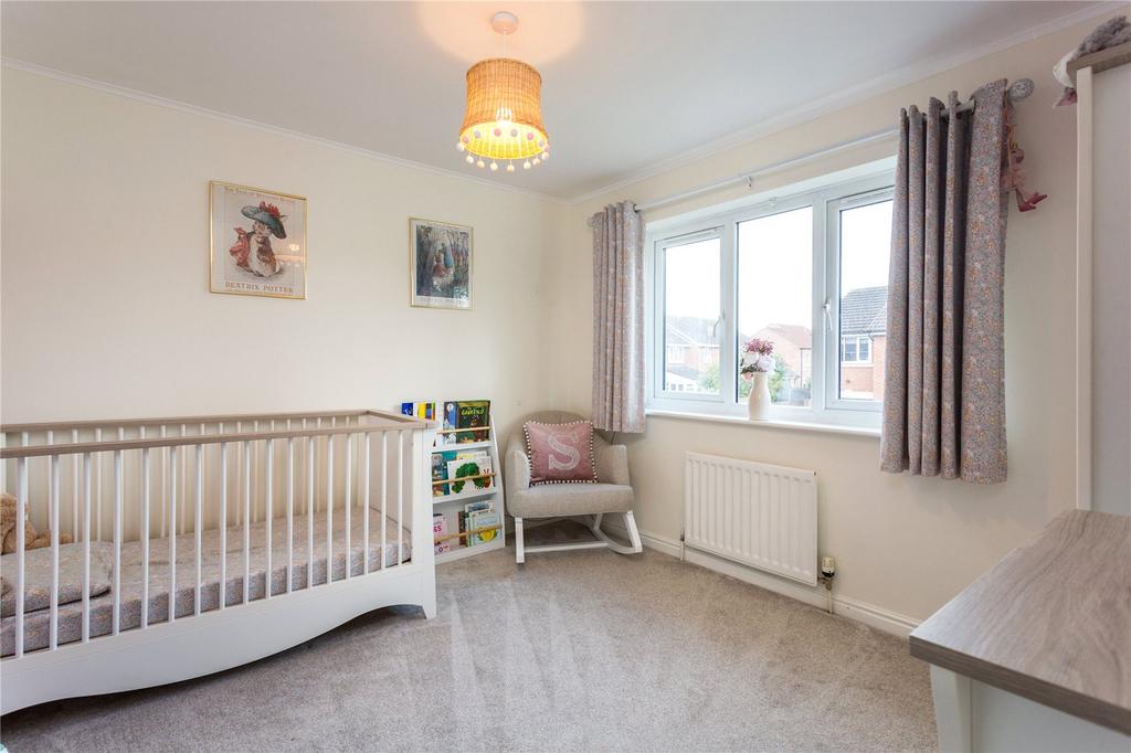 Photos