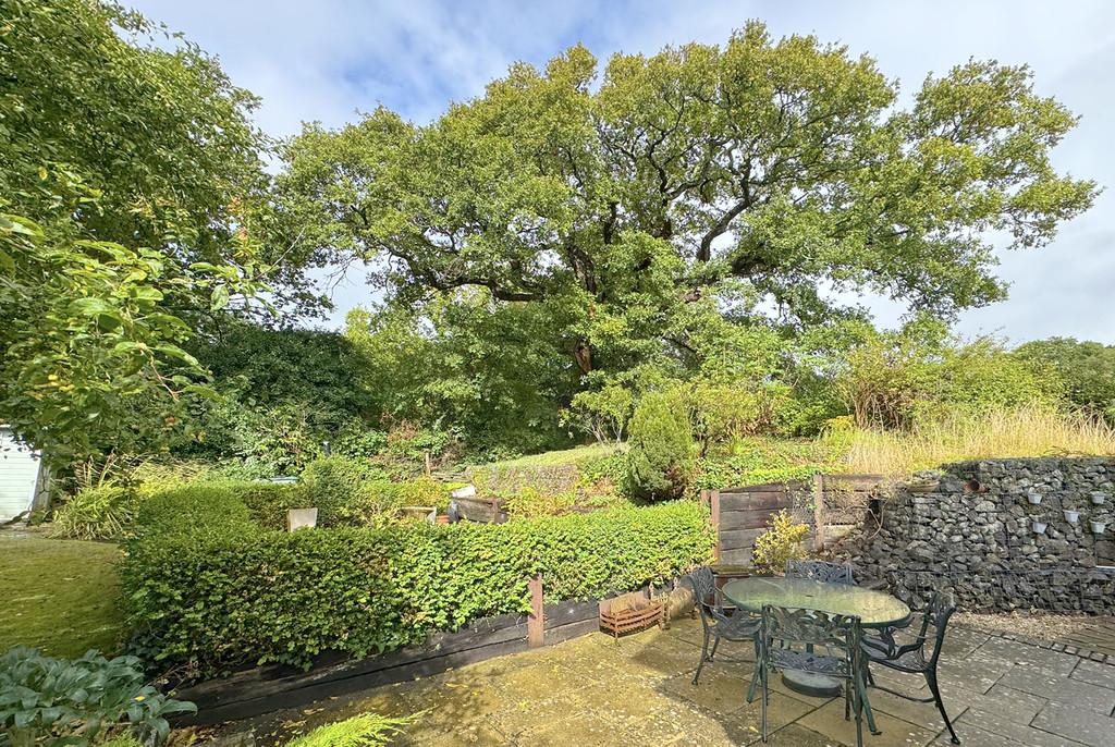 Harlicks Garden 1