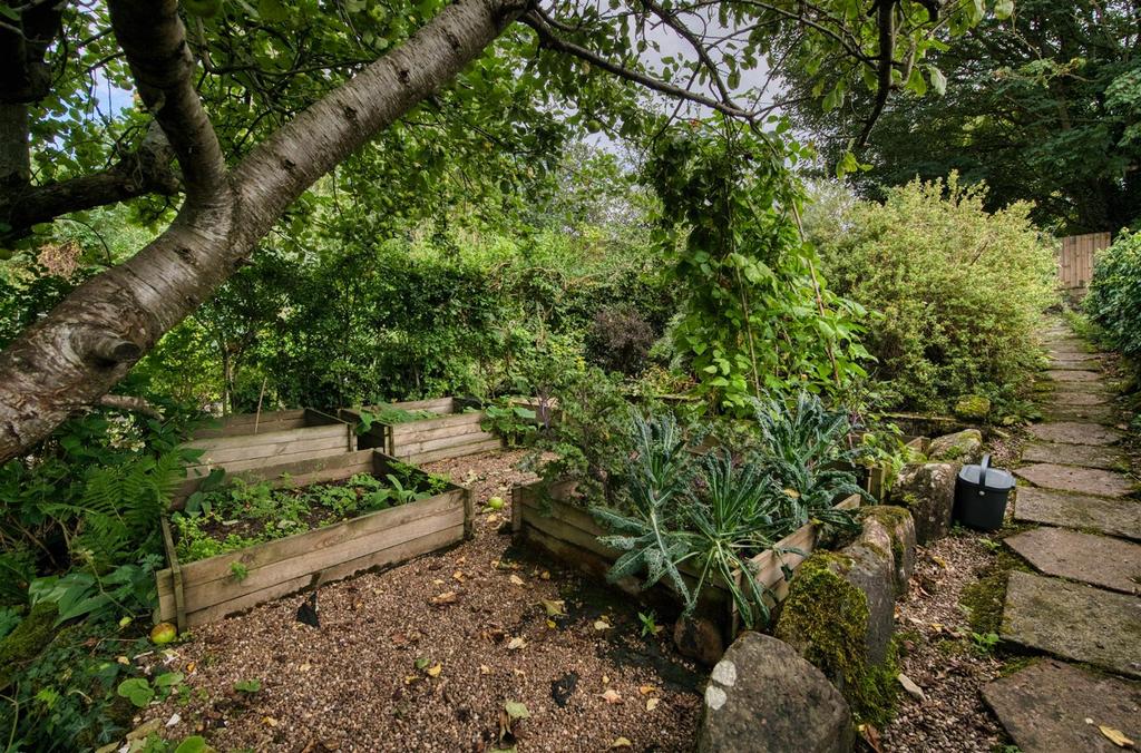 Rear Garden - raised beds.jpg