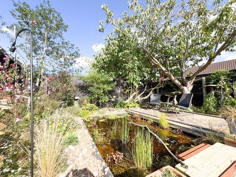 Rear garden view