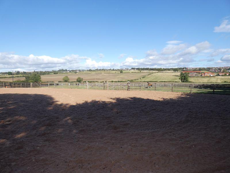 Paddock/Stables