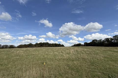 undefined, Sandy Lane, Cranberry