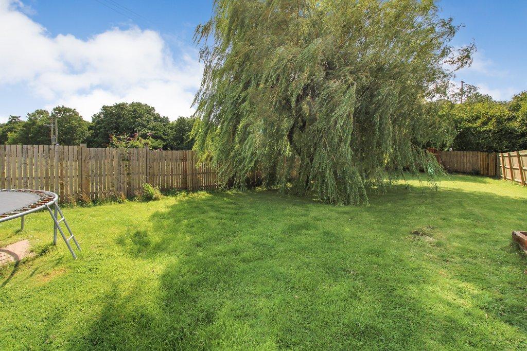 Large Garden