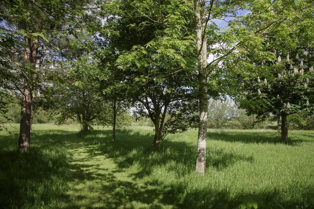 Upper Grange Newington 082.jpg