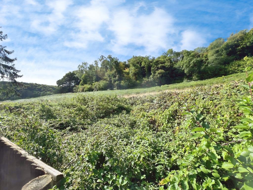 Pbox-garden-333910.jpg