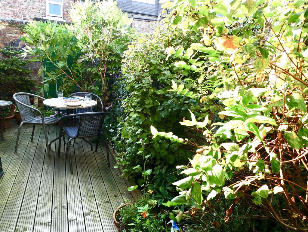 45scottgdn3.JPG
