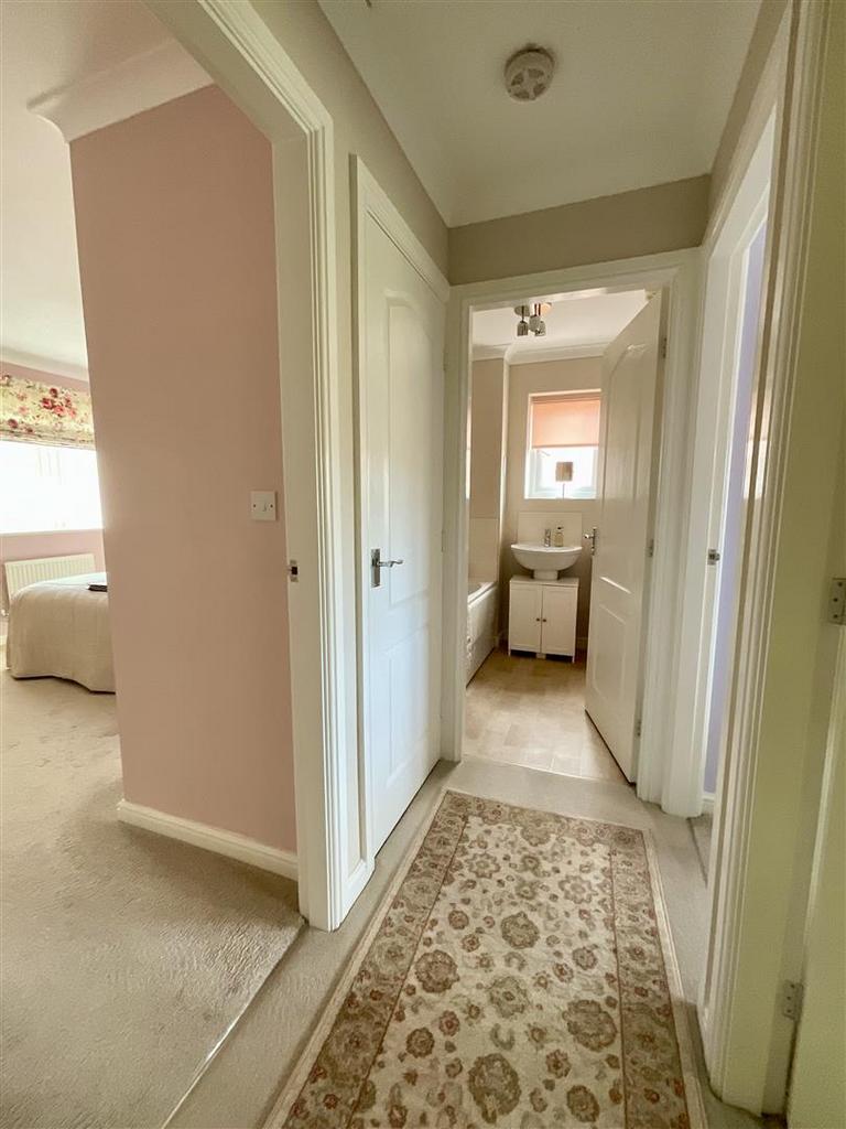 IMG 6394.jpeg