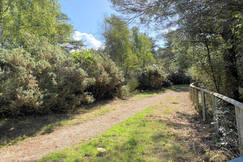 Heathland Walks