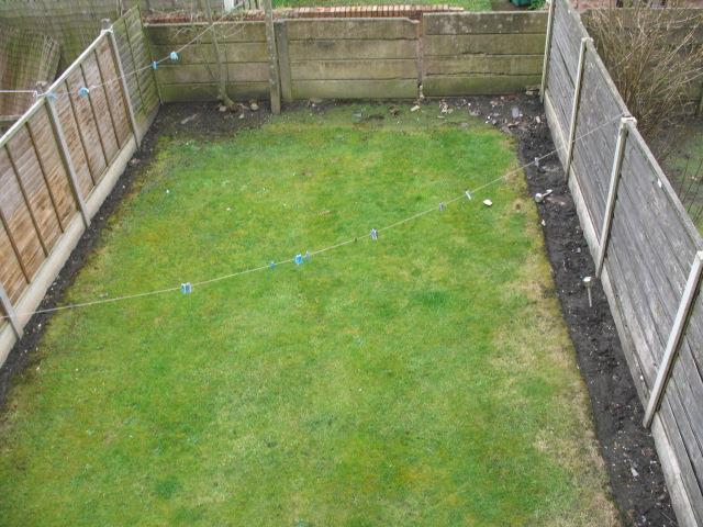 Back garden