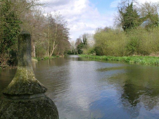 Picture 23
