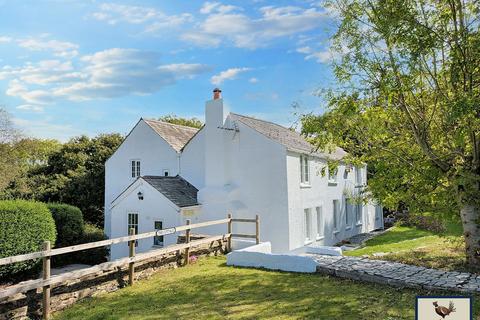 undefined, Bere Alston, PL20