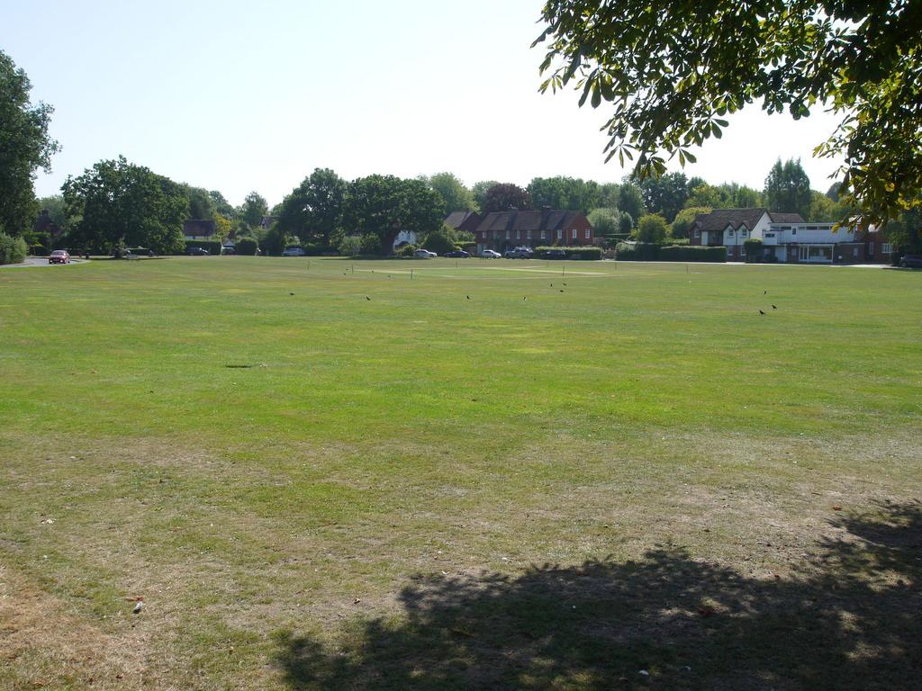 Photograph 13
