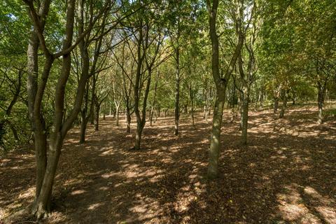 3 bedroom detached house for sale, Amos Hill, Sudbury CO10