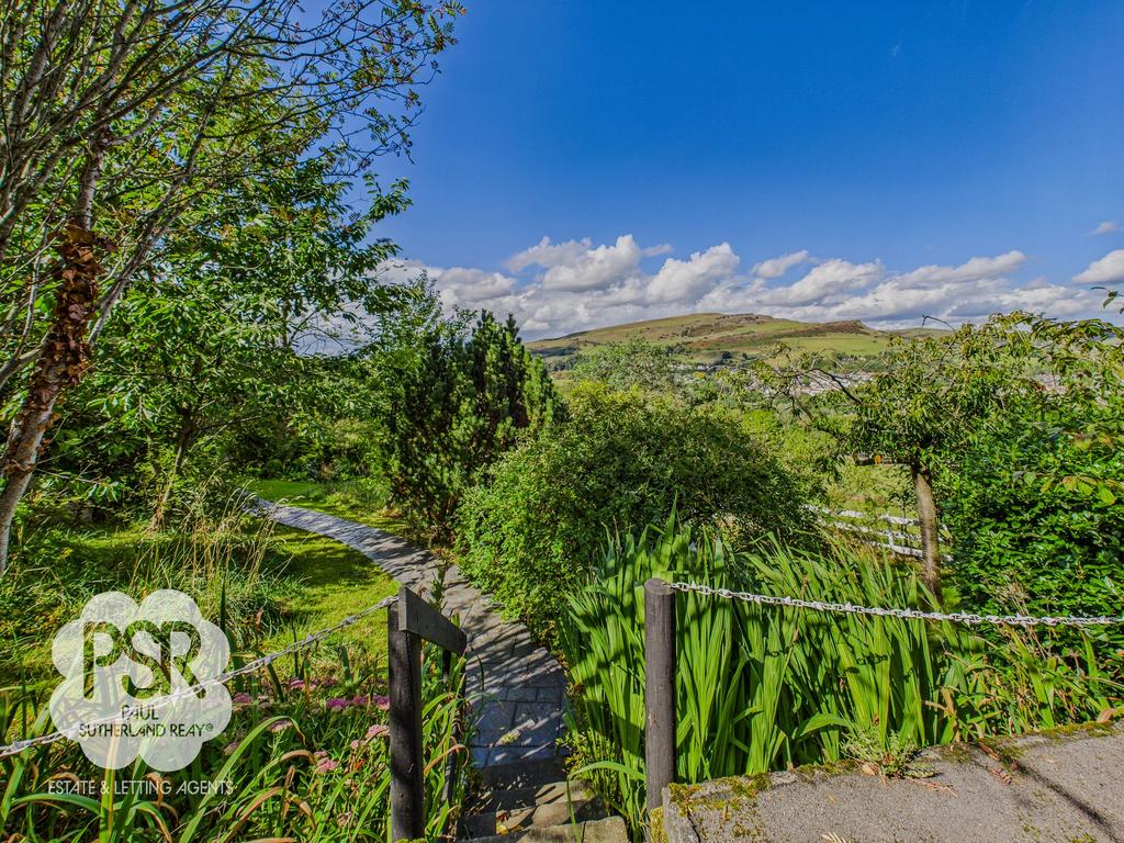 Looking Back over the Garden