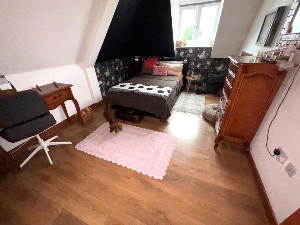 Picture 8