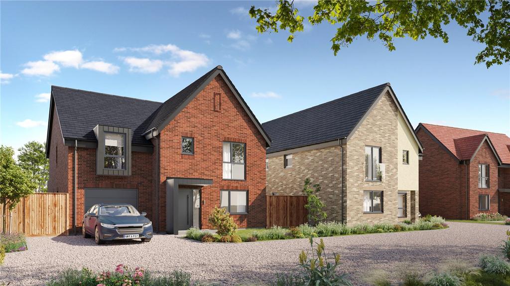 Plot 5