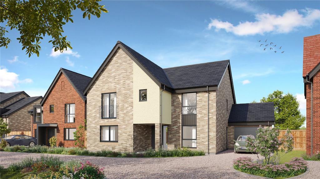 Plot 6