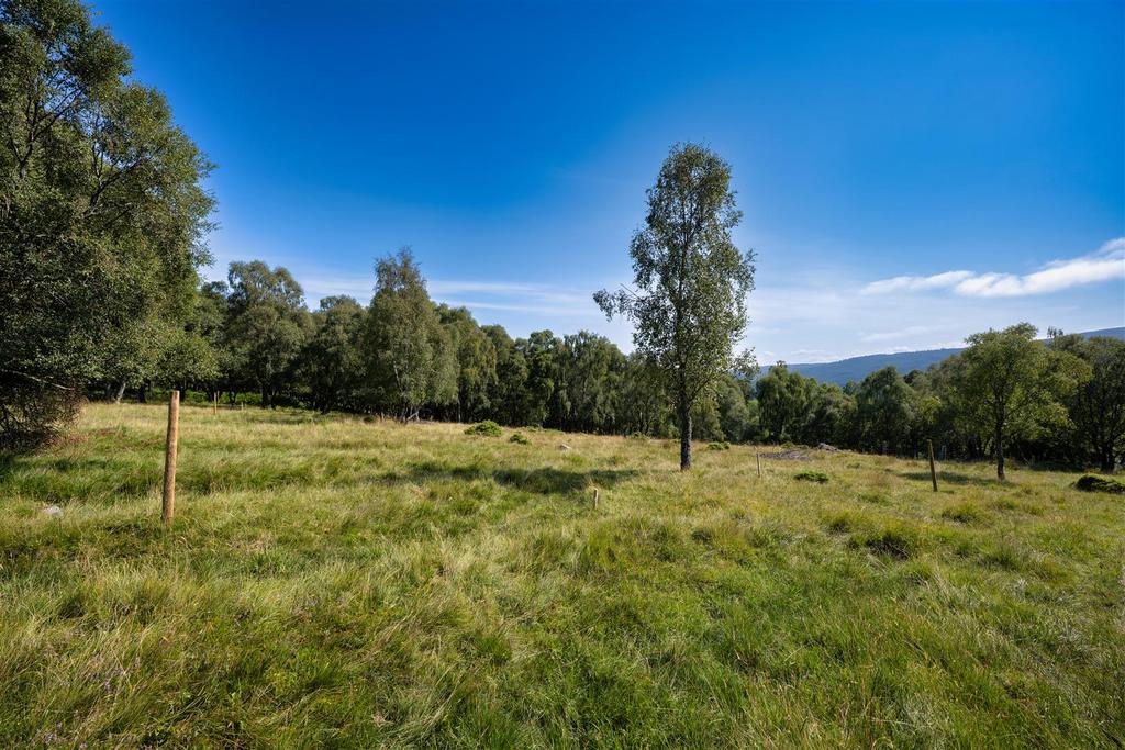  DSC5136-Edit.jpg