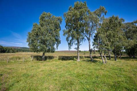 undefined, Balnain, Drumnadrochit